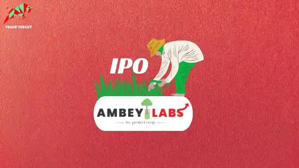A person standing on the Ambey Laboratories logo, harvesting crops, symbolizing the company's business in manufacturing agrochemical products for crop protection. The text "IPO" is displayed at the top, indicating the upcoming initial public offering.