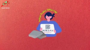 Digital art showing a stylized figure holding a white sign with the "BORANA Weaving Dreams" logo. Below the sign are stacks of folded grey fabric. The words "Initial Public Offerings" arc above the figure in yellow text, indicating Borana's upcoming IPO.