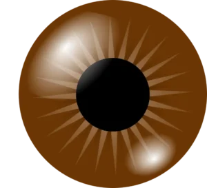 Close-up of a brown eye with a black pupil and radial patterns, appearing glossy and realistic.