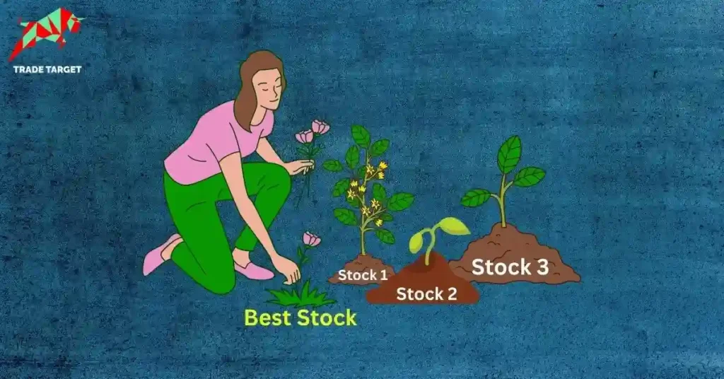 A woman harvesting a mature flower labeled Best Stock, showing how to select best stocks for investment through growth.