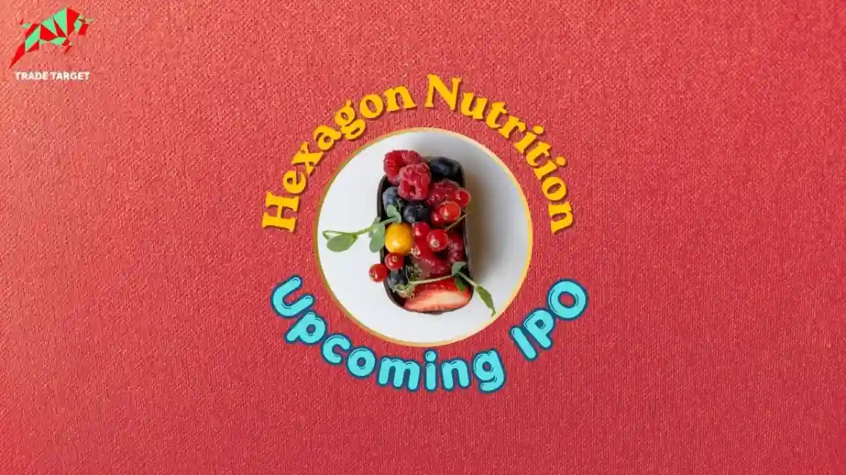 Hexagon Nutrition IPO GMP Today: Date, Price, and Key Details